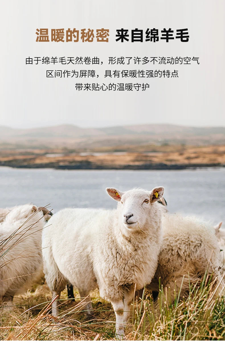 ARC Autumn and Winter Wool Coat Men's Outdoor Business Camping Trend in The Long Fashion Casual Wool Detachable Down Jacket